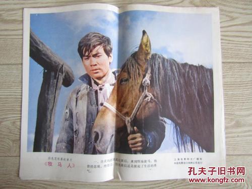 北方州立大学文凭毕业证真实样板